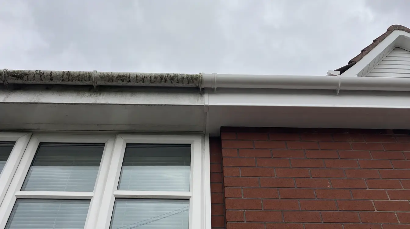 Gutter and fascia cleaning comparison
